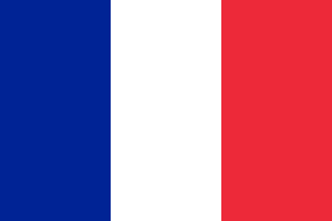 Bandera Francia English Link School