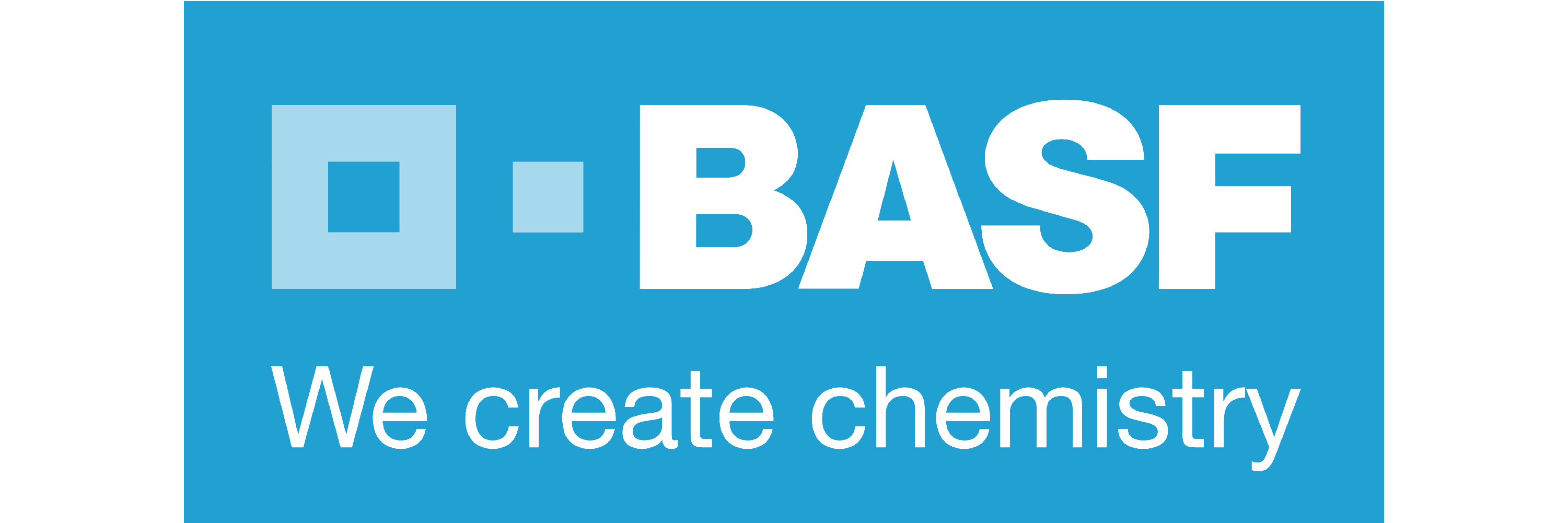 BASF logo English Link School