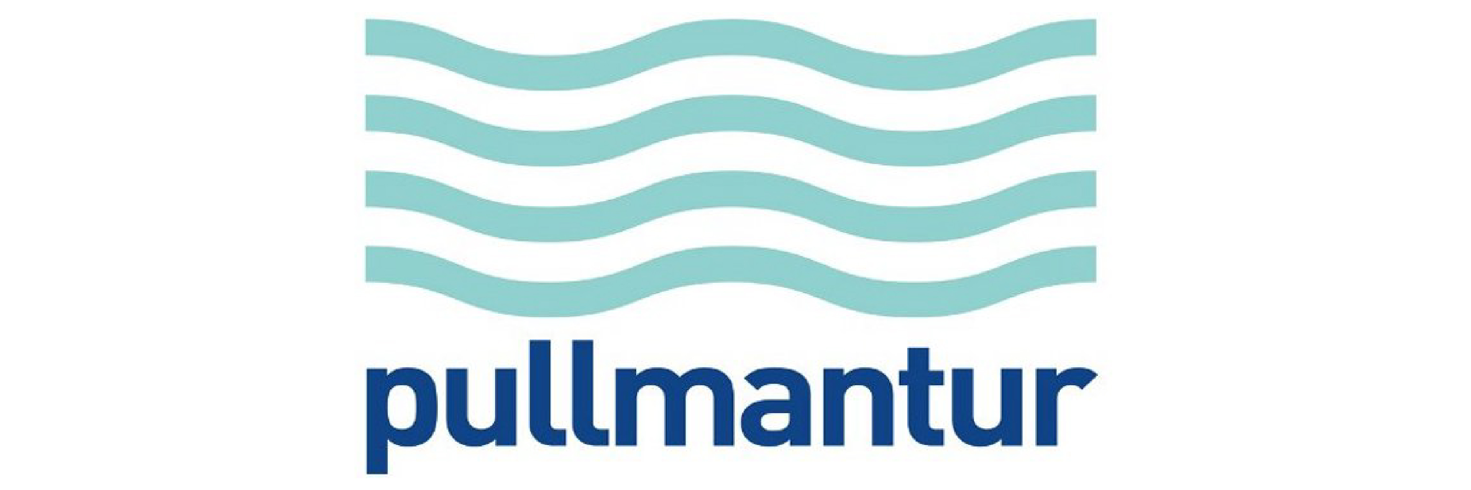 Pullmantur English Link School